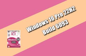 Windows 10 Pro 22H2 Build 6093 