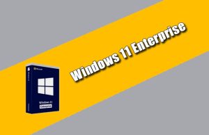 Windows 11 Enterprise Torrent 